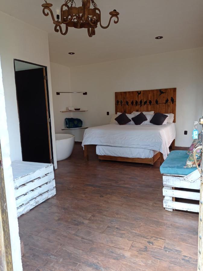 Hotel Cabanas Azul Tequilana Arandas Eksteriør bilde